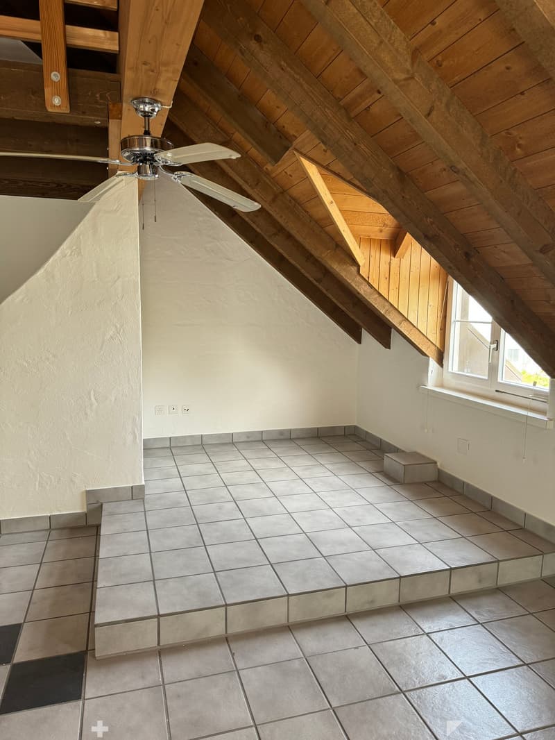 Einzigartige 1.5-Zimmer Wohnung mit Galerie (5)