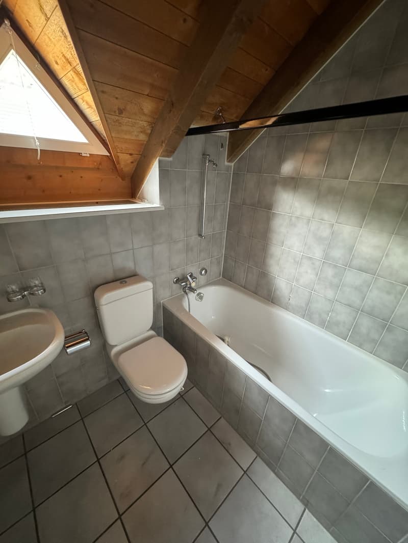 Einzigartige 1.5-Zimmer Wohnung mit Galerie (11)