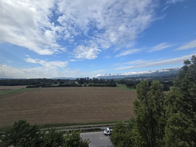 Superficie artigianale e/o industriale flessibile di 322 m2 in affitto (8)