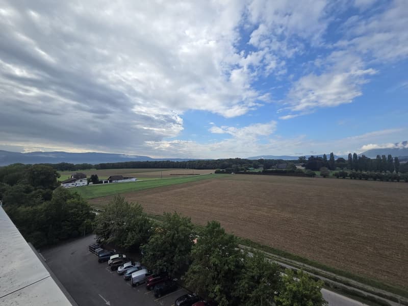 Superficie artigianale e/o industriale flessibile di 535 m2 in affitto (9)