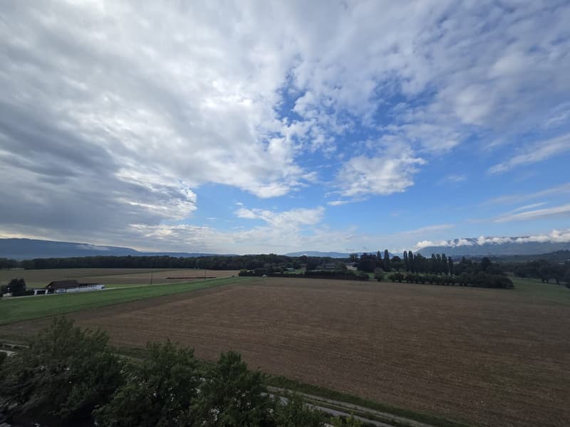 Aerial view of a vast open field with a house and trees in the distance, under a cloudy sky