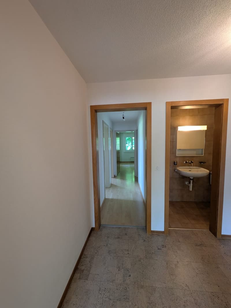 Appartamento familiare temporaneo di 4,5 locali nel quartiere di Amselweg (10)