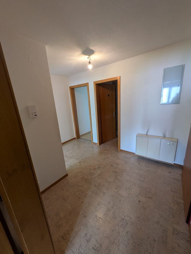 Appartamento familiare temporaneo di 4,5 locali nel quartiere di Amselweg (12)