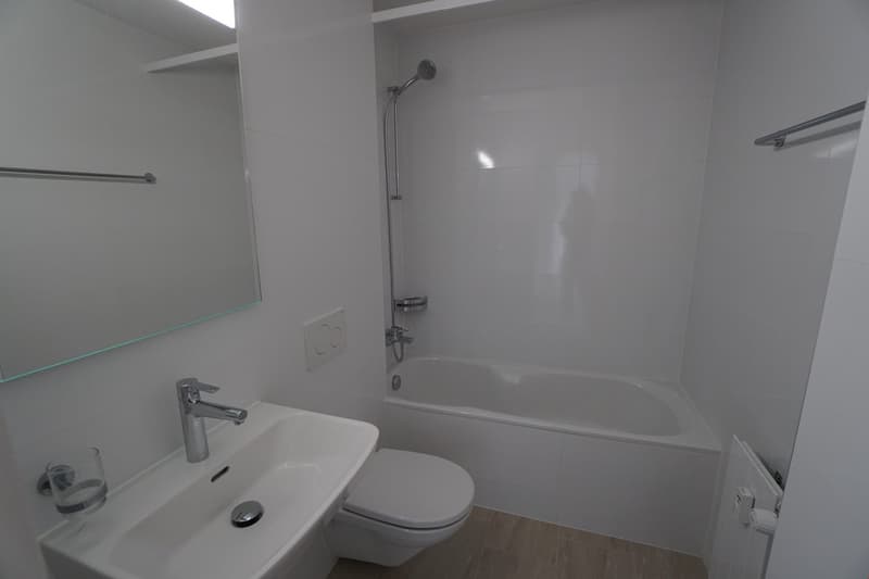 Helle 2.5 Zimmerwohnung (Musterwohnung) (2)