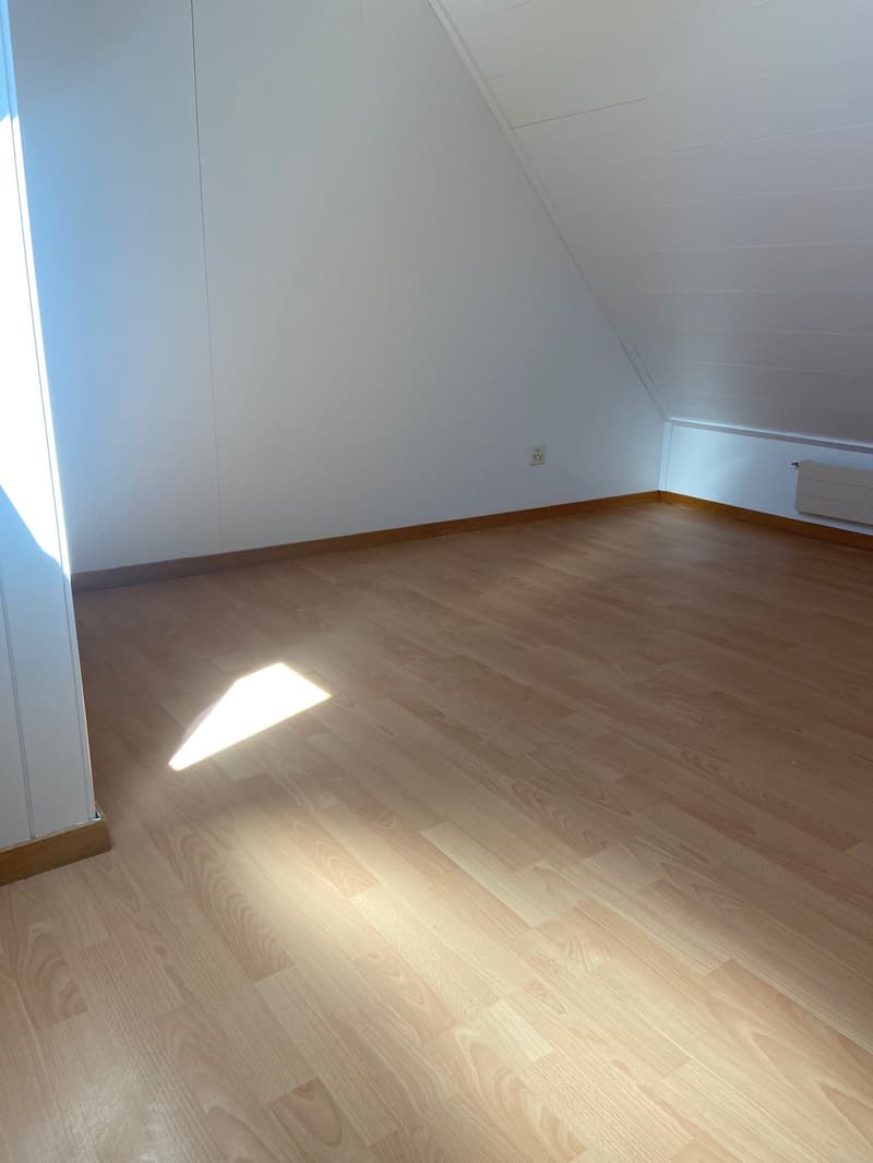Wunderschöne 3.5-Zimmer-Dachwohnung (9)