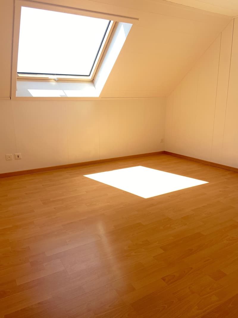 Wunderschöne 3.5-Zimmer-Dachwohnung (10)