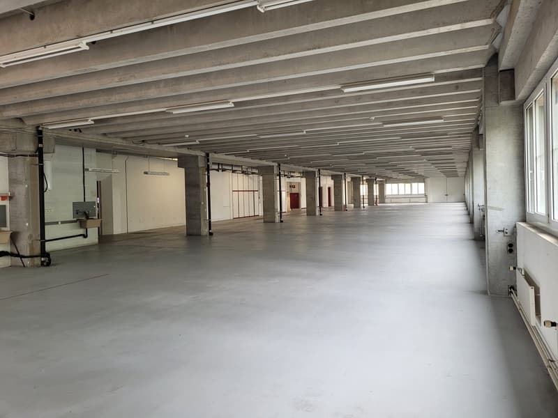 II - Exemple de photo d'espace locatif