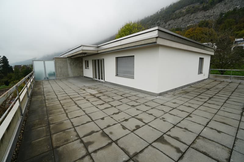Appartamento luminoso 3.5 locali con grande terrazza sul tetto (11)