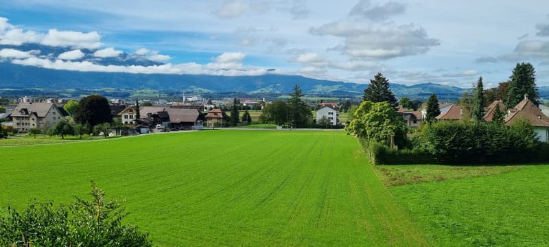 Maison mitoyenne avec vue sur la montagne et beau jardin (6)