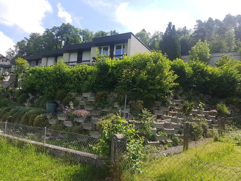 Maison mitoyenne avec vue sur la montagne et beau jardin (2)