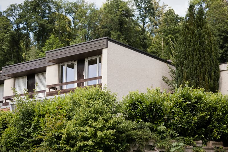 Maison mitoyenne avec vue sur la montagne et beau jardin (1)