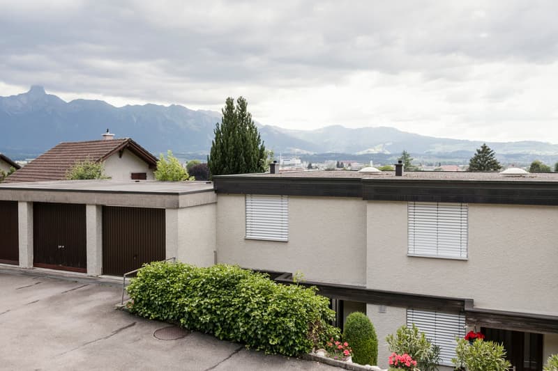 Maison mitoyenne avec vue sur la montagne et beau jardin (3)