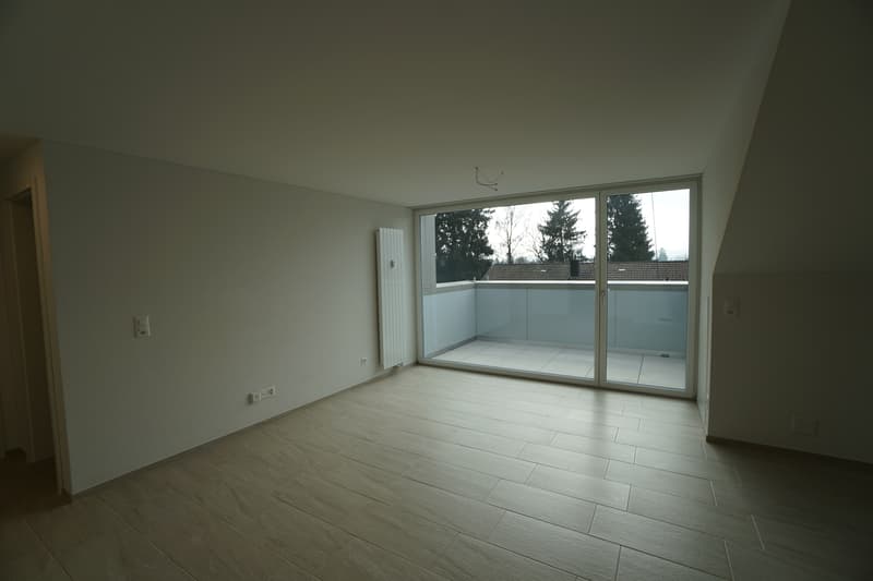 2.5-Zimmer-Dachwohnungen (5)