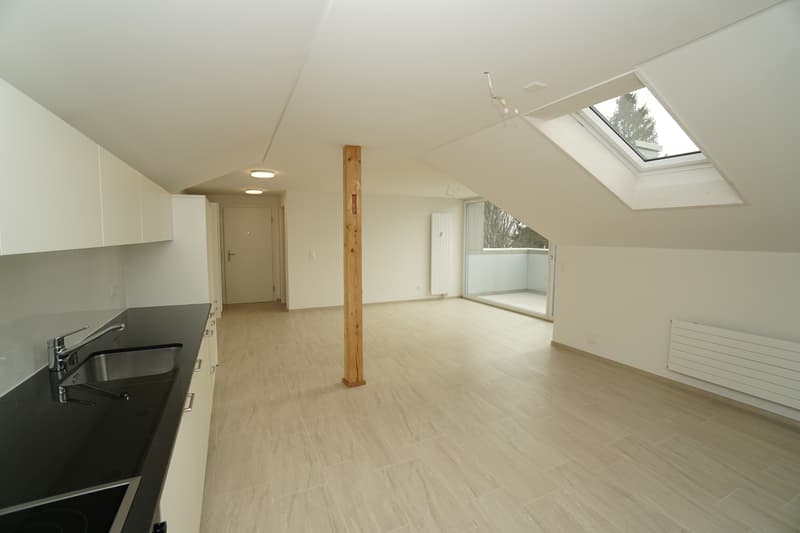 2.5-Zimmer-Dachwohnungen (4)