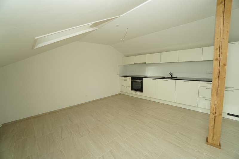 2.5-Zimmer-Dachwohnungen (2)