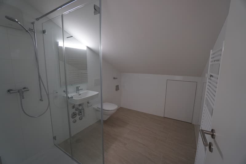 2.5-Zimmer-Dachwohnungen (7)