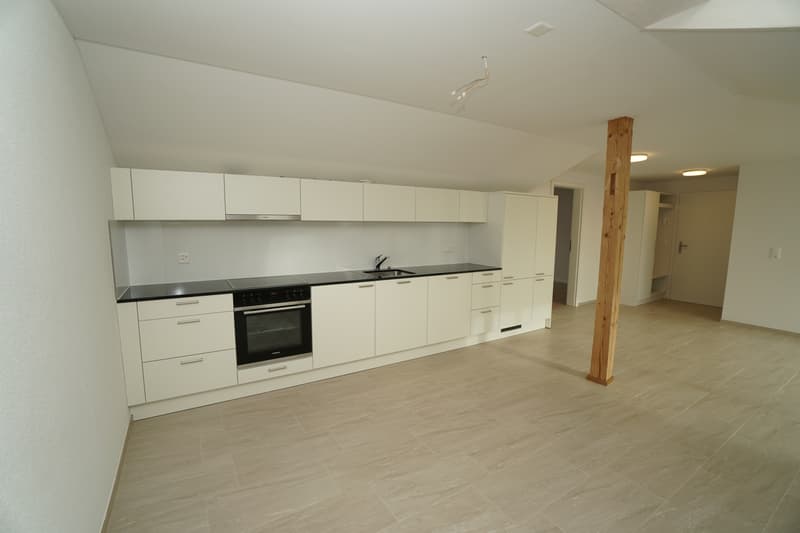 2.5-Zimmer-Dachwohnungen (3)