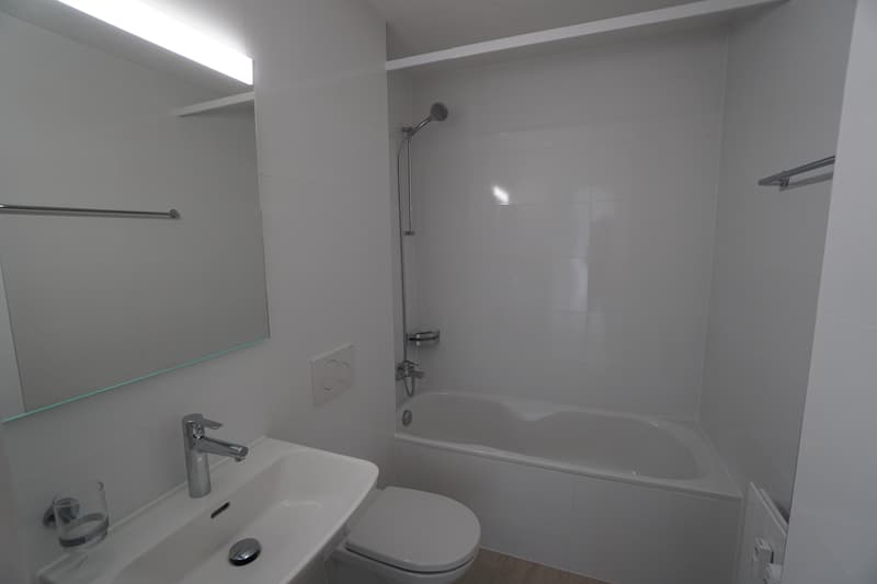 2.5-Zimmer-Dachwohnungen (Musterwohnung) (8)