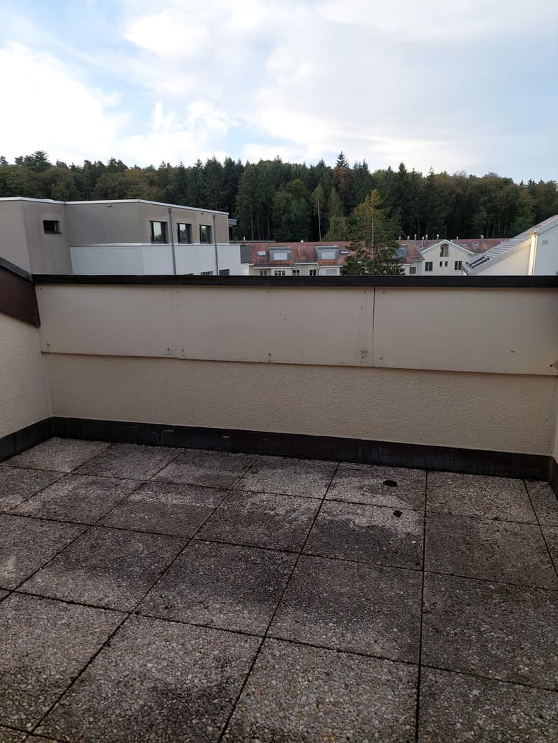 BEFRISTET 2.5-Zimmerwohnung im Amselwegquartier (2)
