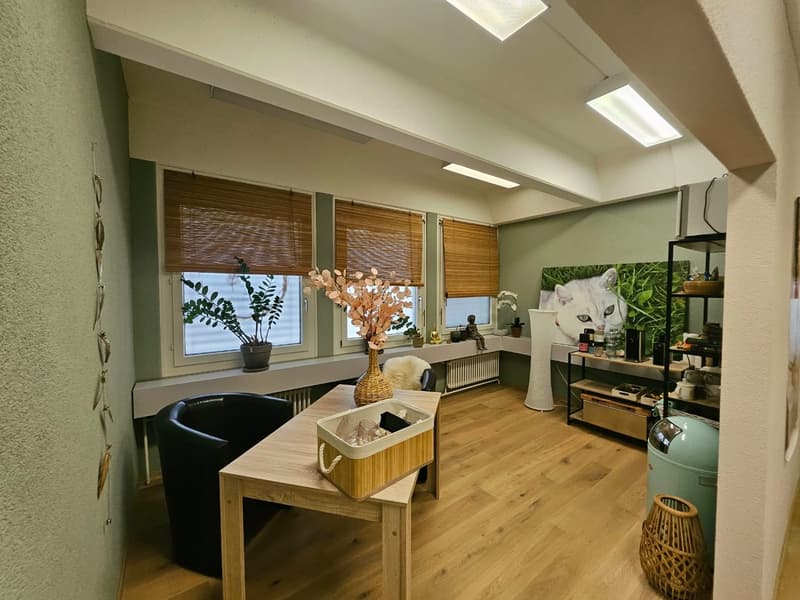 Helles Büro oder Praxis an ruhiger Lage in Aarberg (11)
