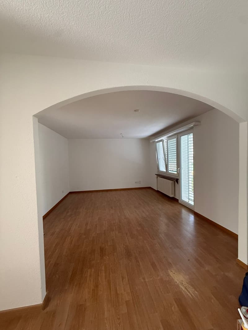 Charming 6-room single-family house with garden in Aarau (3)