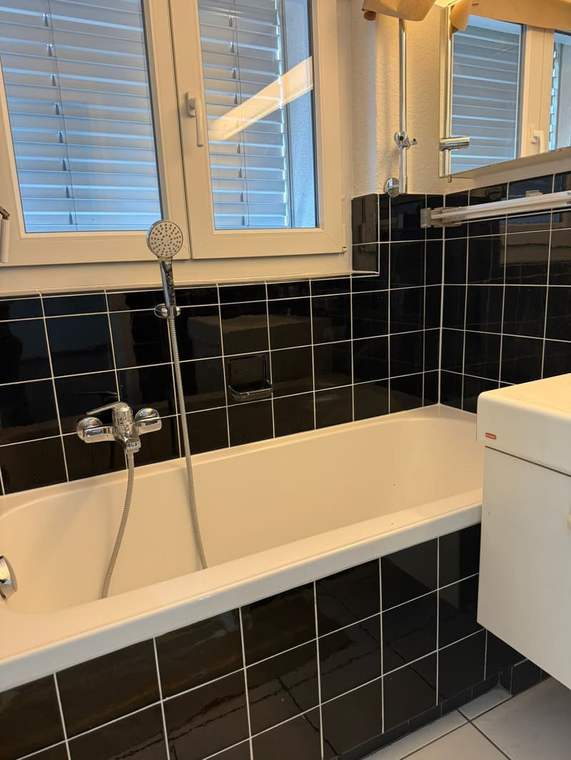Charming 6-room single-family house with garden in Aarau (15)