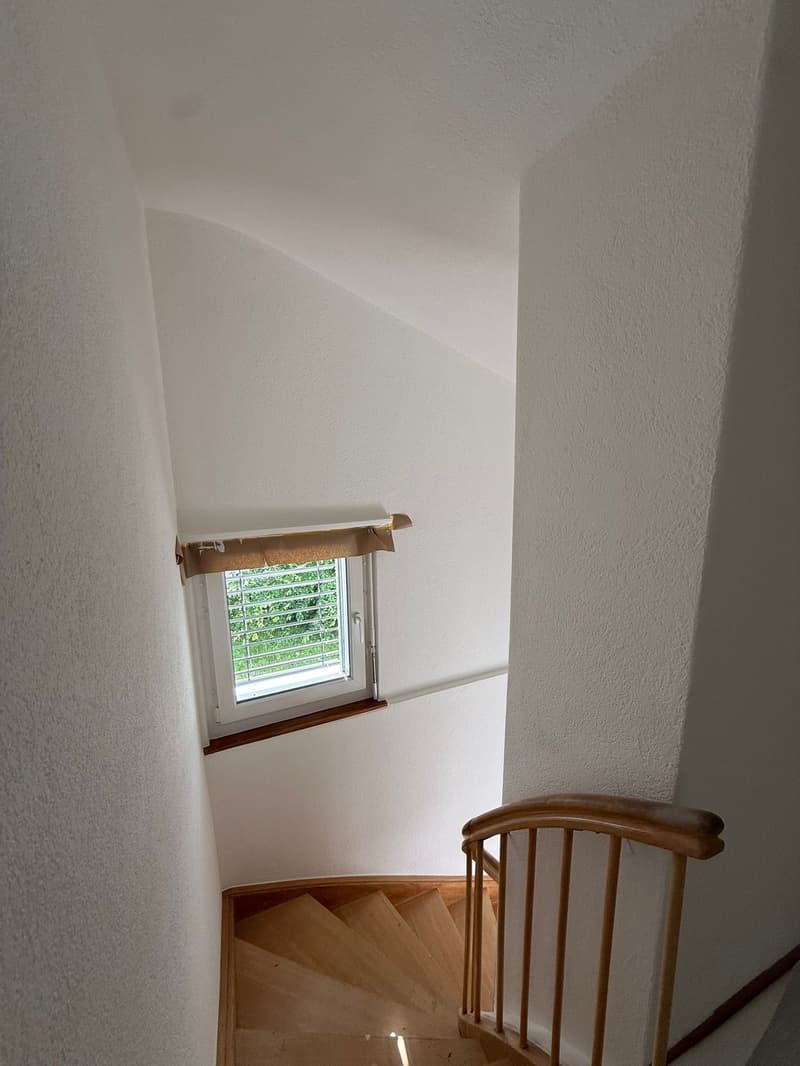 Charming 6-room single-family house with garden in Aarau (7)