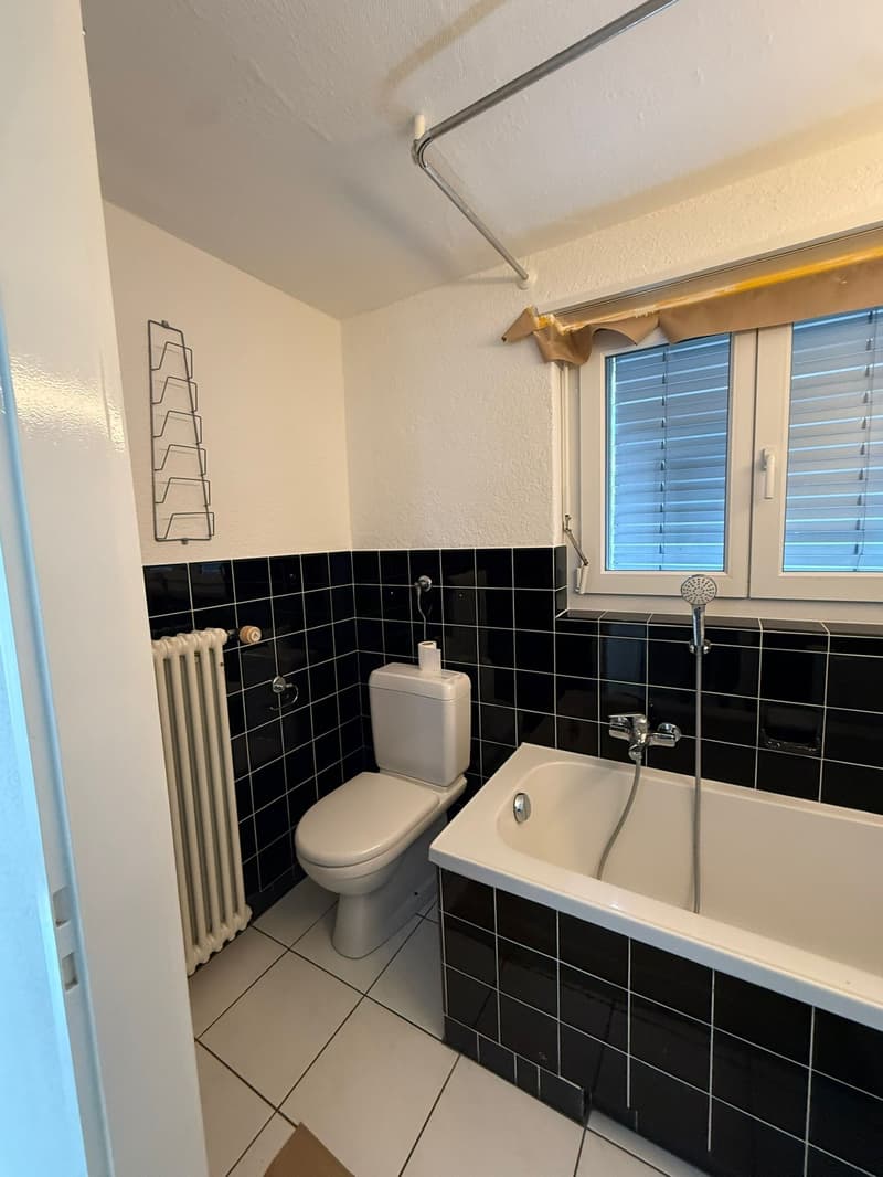 Charming 6-room single-family house with garden in Aarau (16)