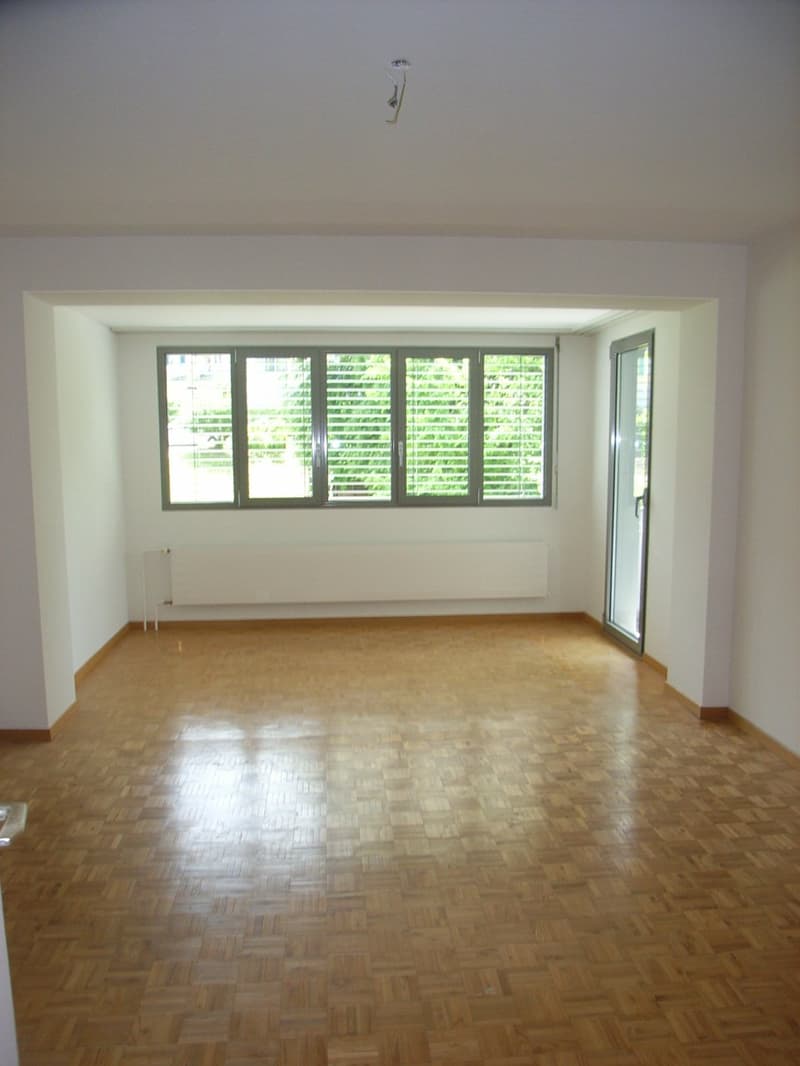 Empty room with wooden floor, white walls, large windows, and a white radiator.