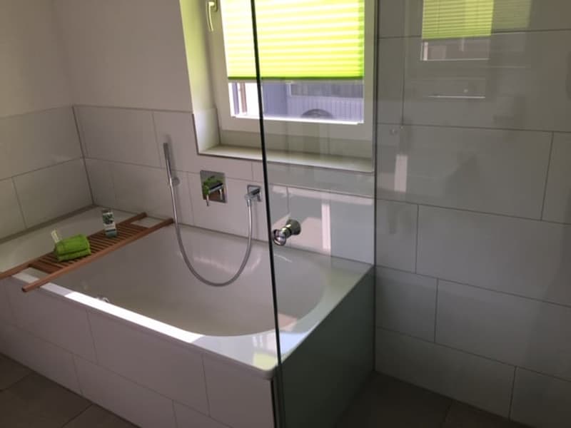 topmodern in Seenähe wohnen (5)