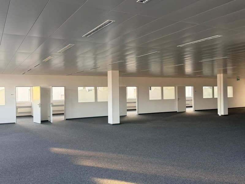 large open space, fluorescent ceiling lights, white walls, windows, grey carpet
