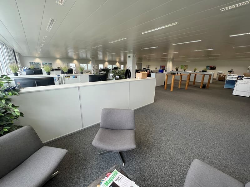 large office space with carpeted floor, multiple workstations, desks, computer monitors, plants, and white partitions