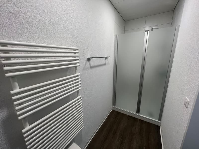 Bathroom with white towel rack, glass shower enclosure, and dark wood-like flooring.