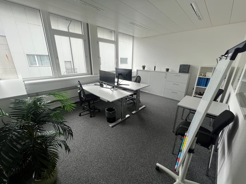 The image shows a modern office space with a large desk, computer, and office chairs. The room has large windows, providing natural light, and there are some potted plants adding a touch of greenery. The space appears to be well-organized with storage cab