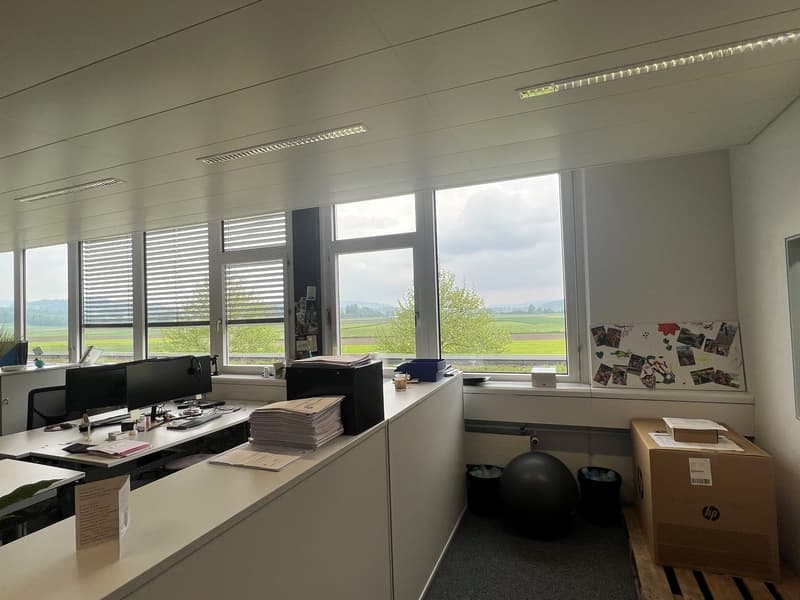 Spacious office room with large windows, large desk with two computer monitors, stack of papers, black ball, trash can, small table with box