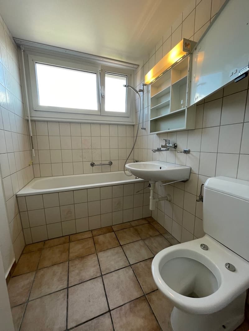 Schöne 2.5-Zimmerwohnung im Dachgeschoss (5)