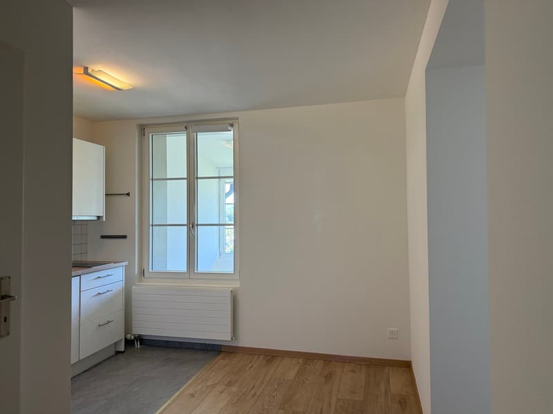 Apartment with Mountain Panorama (5)