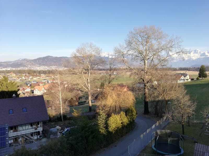 Apartment with Mountain Panorama (1)