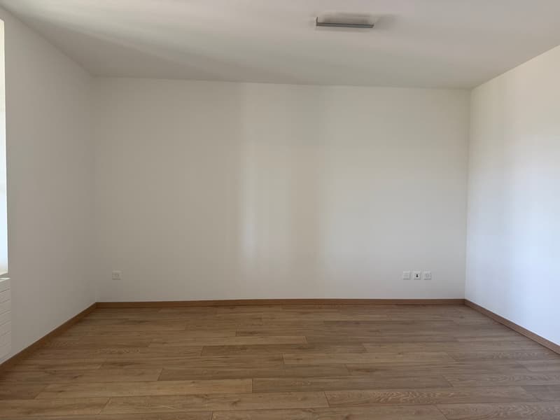 Apartment with Mountain Panorama (6)