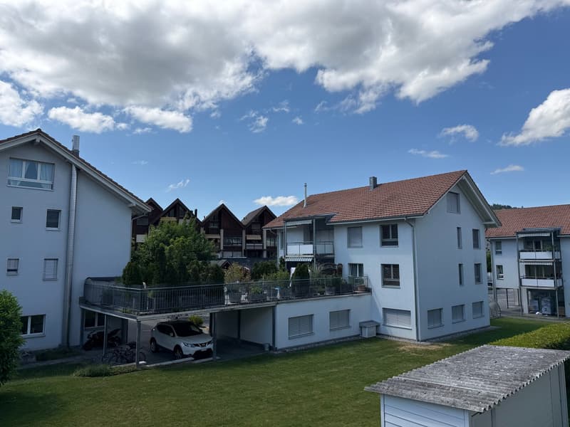 Appartamento luminoso e tranquillo di 4,5 locali con ampio balcone (19)