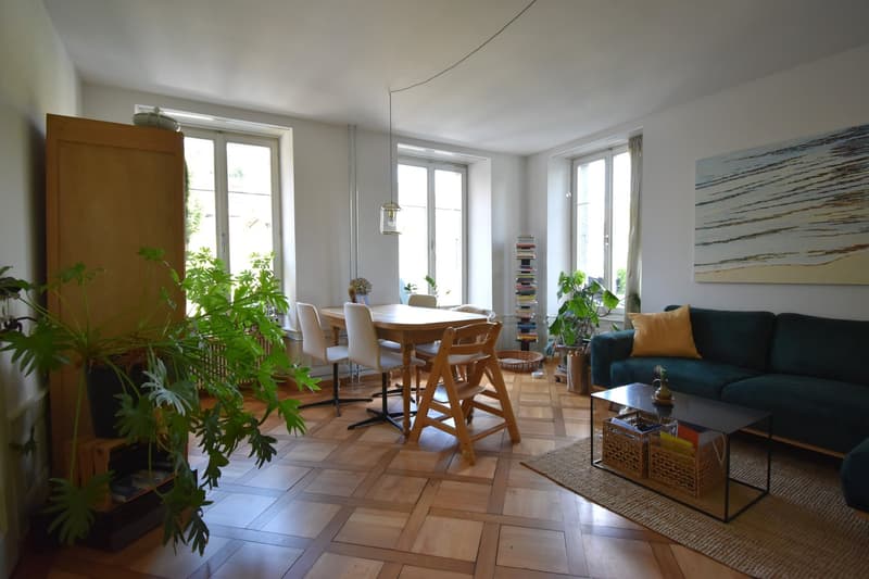 Beautiful, spacious 2.5-room apartment in a unique castle (5)