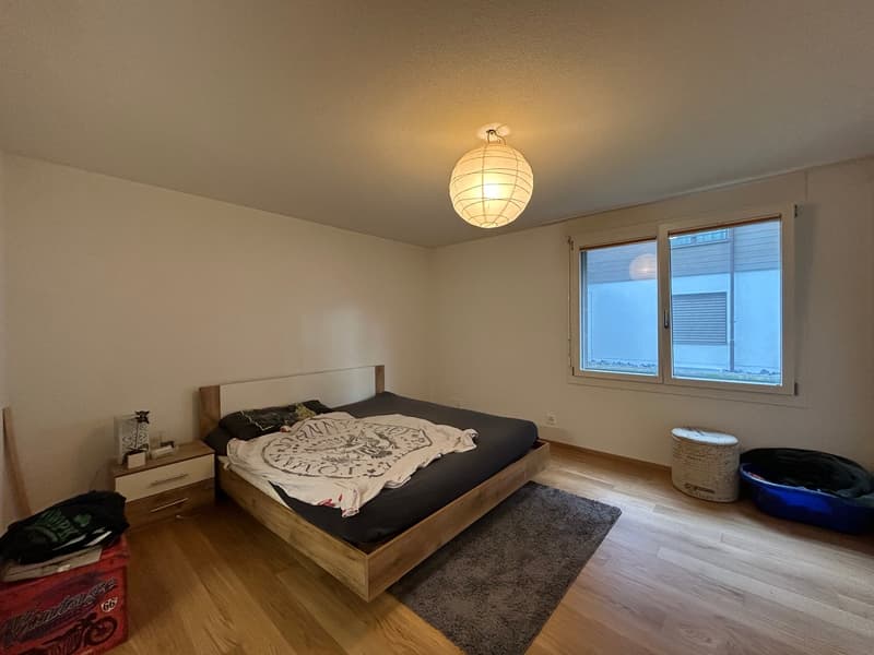 Moderne, lichtdurchflutete 4.5-Zimmer-Erdgeschosswohnung mit Traumpanorama (3)