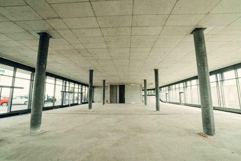Goldäcker II - Ground Floor Space in Public-Effective Location (4)