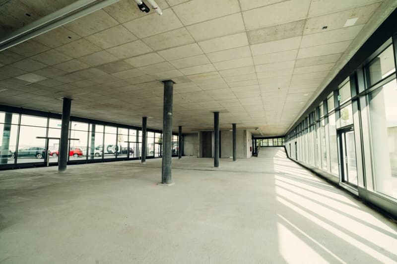 Goldäcker II - Ground Floor Space in Public-Effective Location (3)