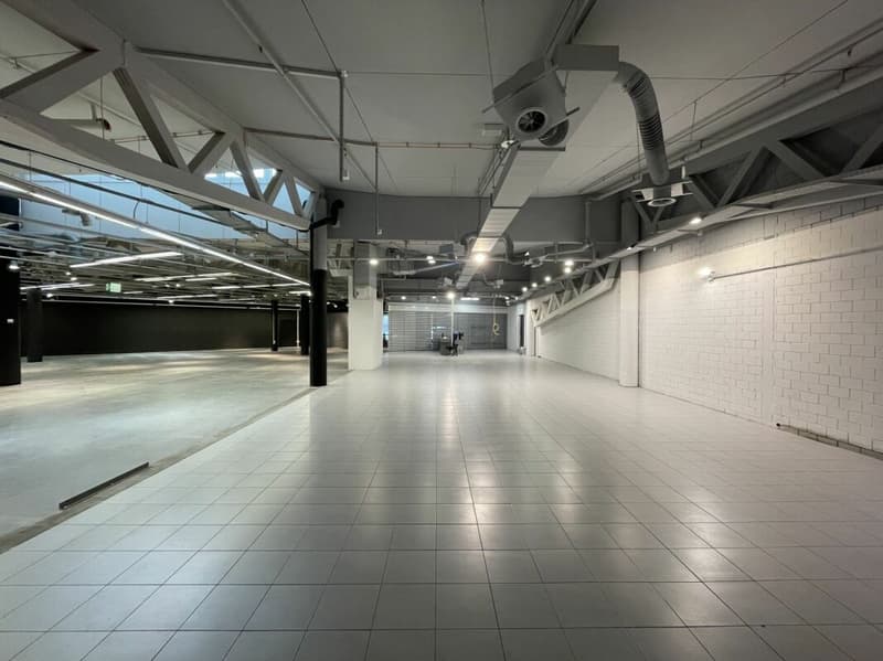 Attractive sales area in Säntispark (9)