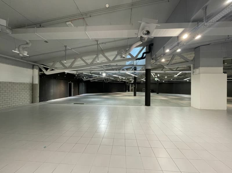 Attractive sales area in Säntispark (7)