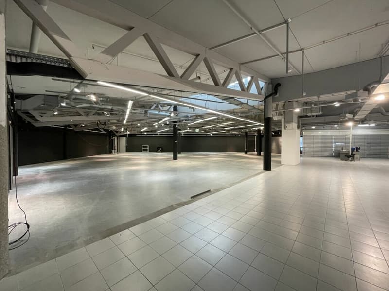 Attractive sales area in Säntispark (8)
