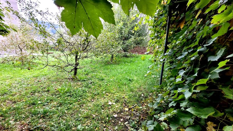 Maison de jardin * Salle de loisirs * Salle de bricolage * (seules les activités calmes sont autorisées) (4)