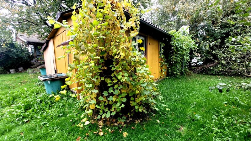 Maison de jardin * Salle de loisirs * Salle de bricolage * (seules les activités calmes sont autorisées) (5)
