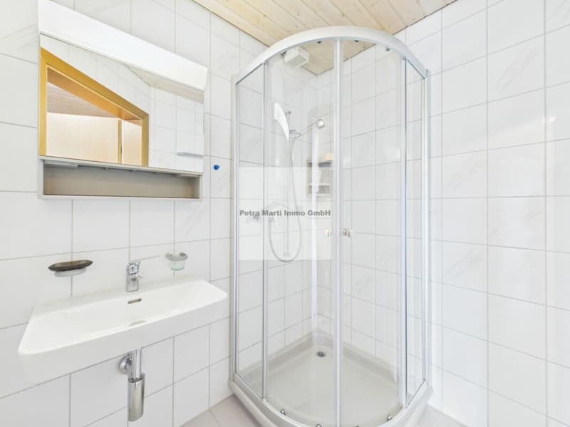 Wonderful 2.5-room attic apartment (7)